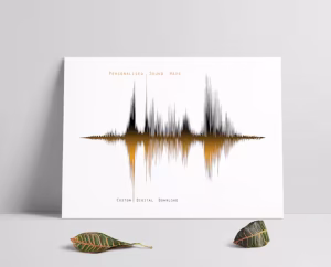 Unique Birthday Gift Ideas - Sound Wave Art
